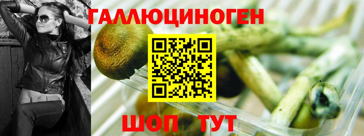 Псилоцибиновые грибы GOLDEN TEACHER  Псилоцибиновые грибы мухоморы  Арсеньев  Вход с VPN 